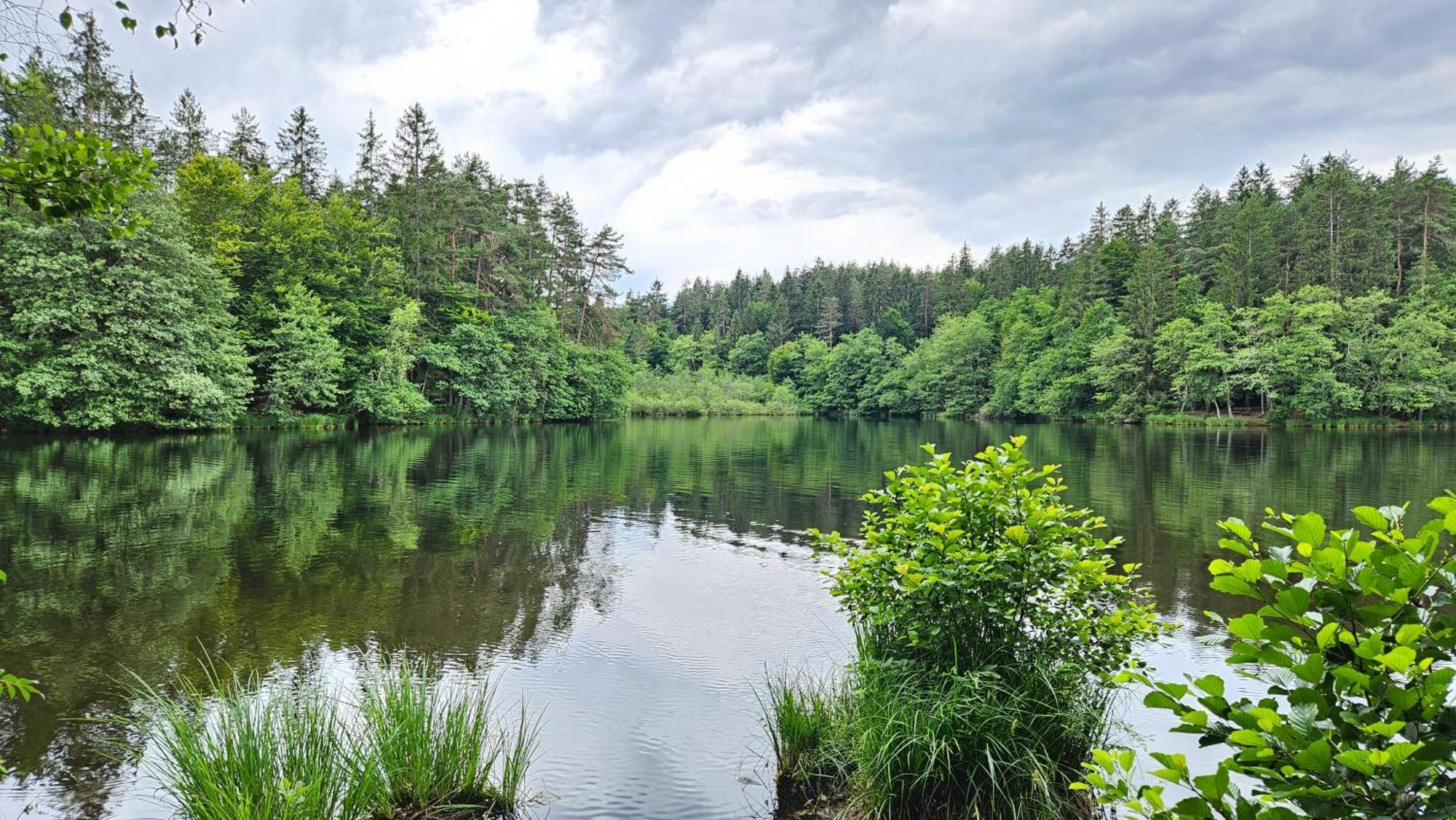 "Casa Antonio" 3 Gehminuten Strandbad Sekirn, Inkl Seezugang ภายนอก รูปภาพ