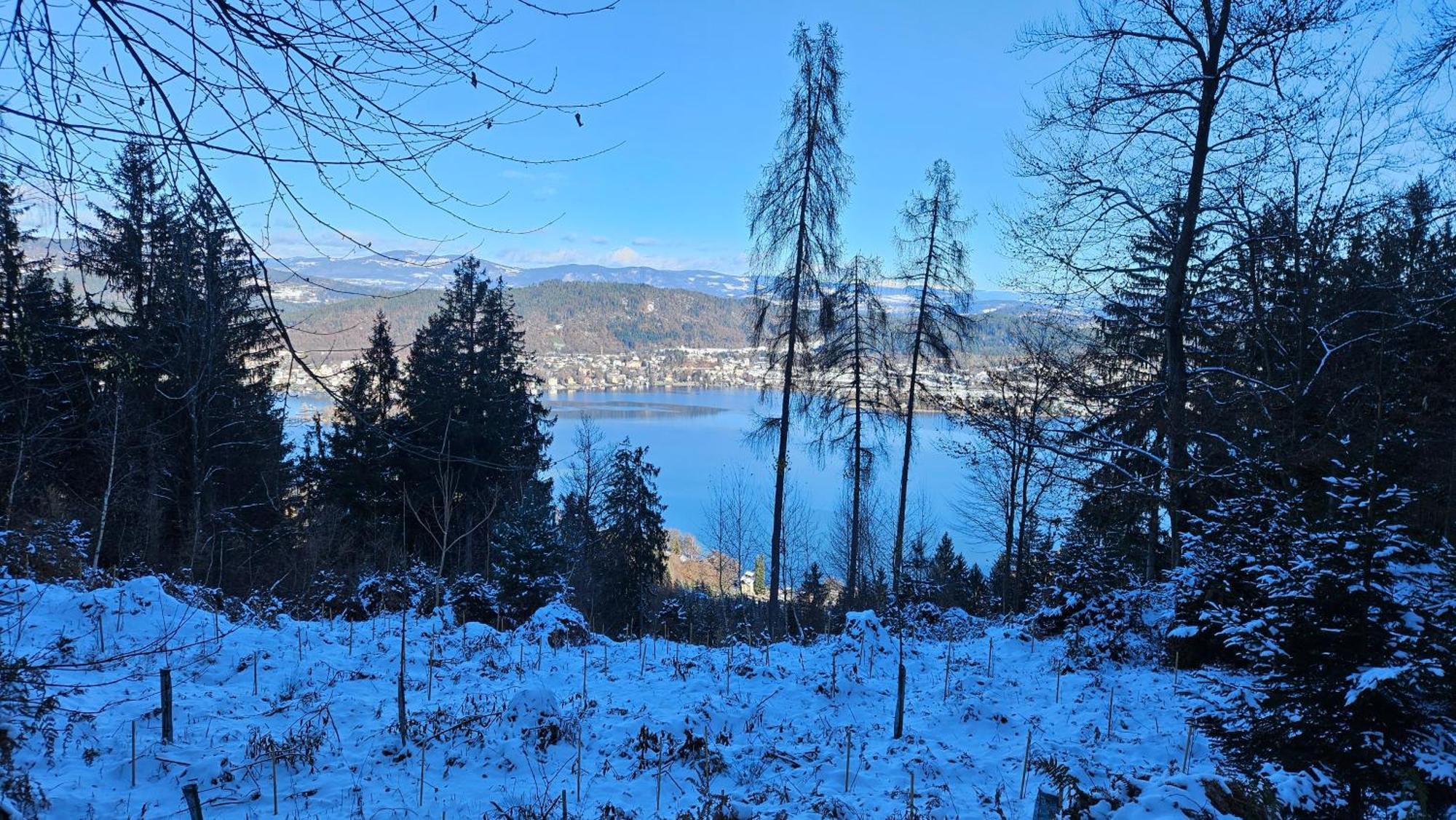"Casa Antonio" 3 Gehminuten Strandbad Sekirn, Inkl Seezugang ภายนอก รูปภาพ